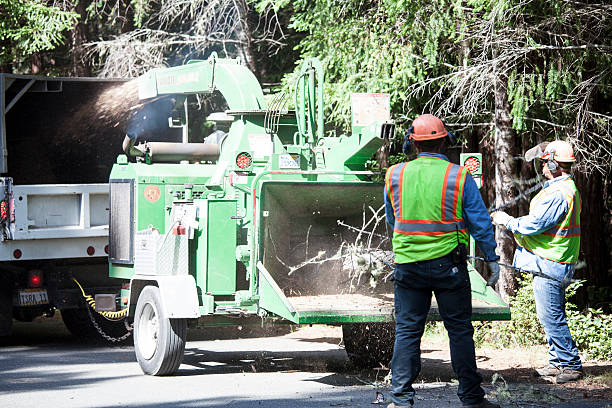 Best Arborist Consultation Services  in Harrisburg, SD